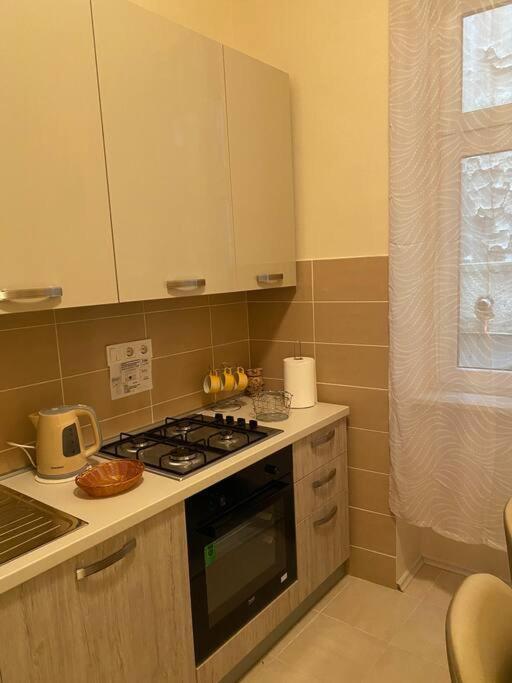 Apartman Elli Zagrzeb Zewnętrze zdjęcie
